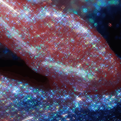 Lipgloss - Golden Frost