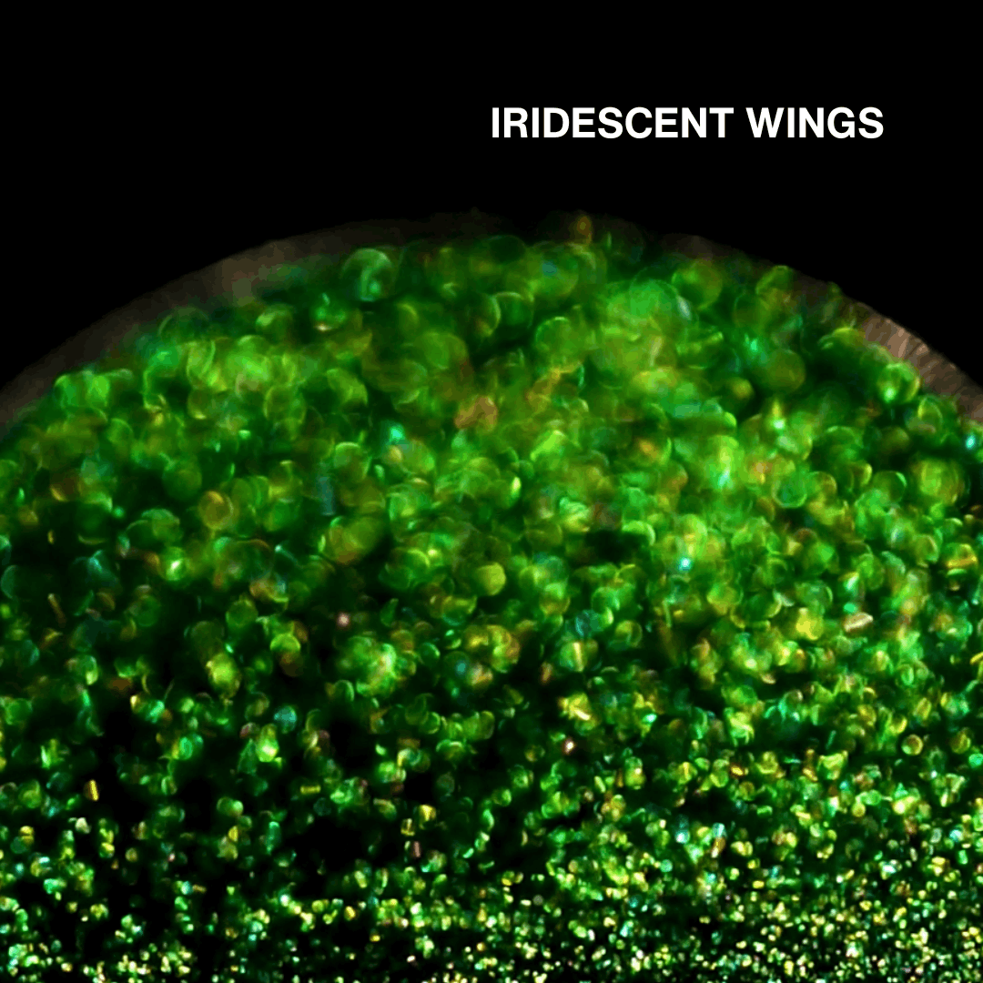 Chapter 4 - Garden of Iridescent Wings