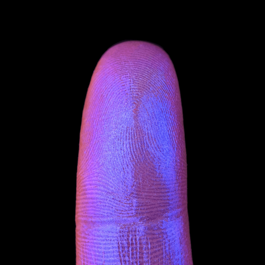 Ultraviolet Bouquet