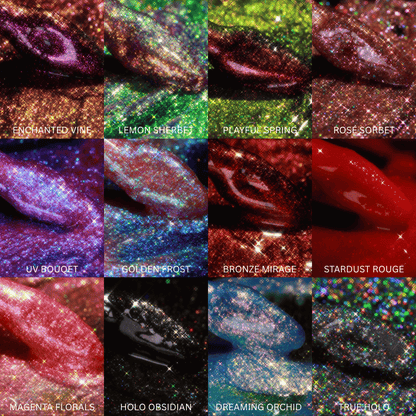 The Gloss Discovery Set