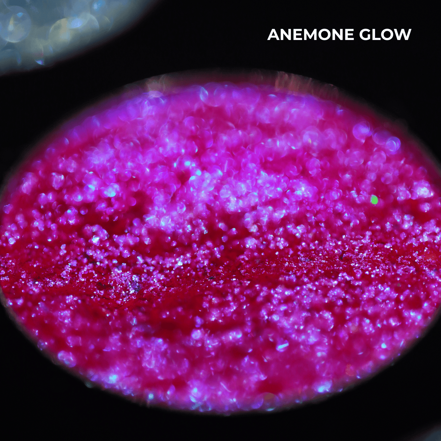 Chapter 3 - Guardian of the Lagoon