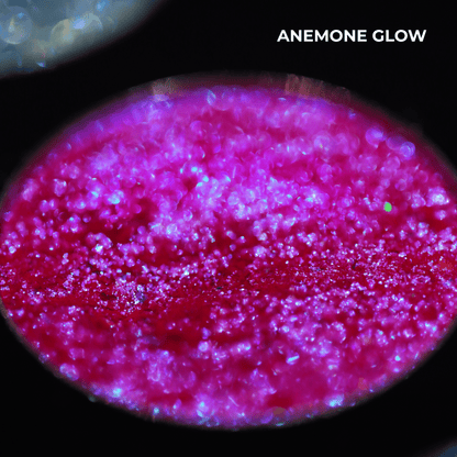 Chapter 3 - Guardian of the Lagoon