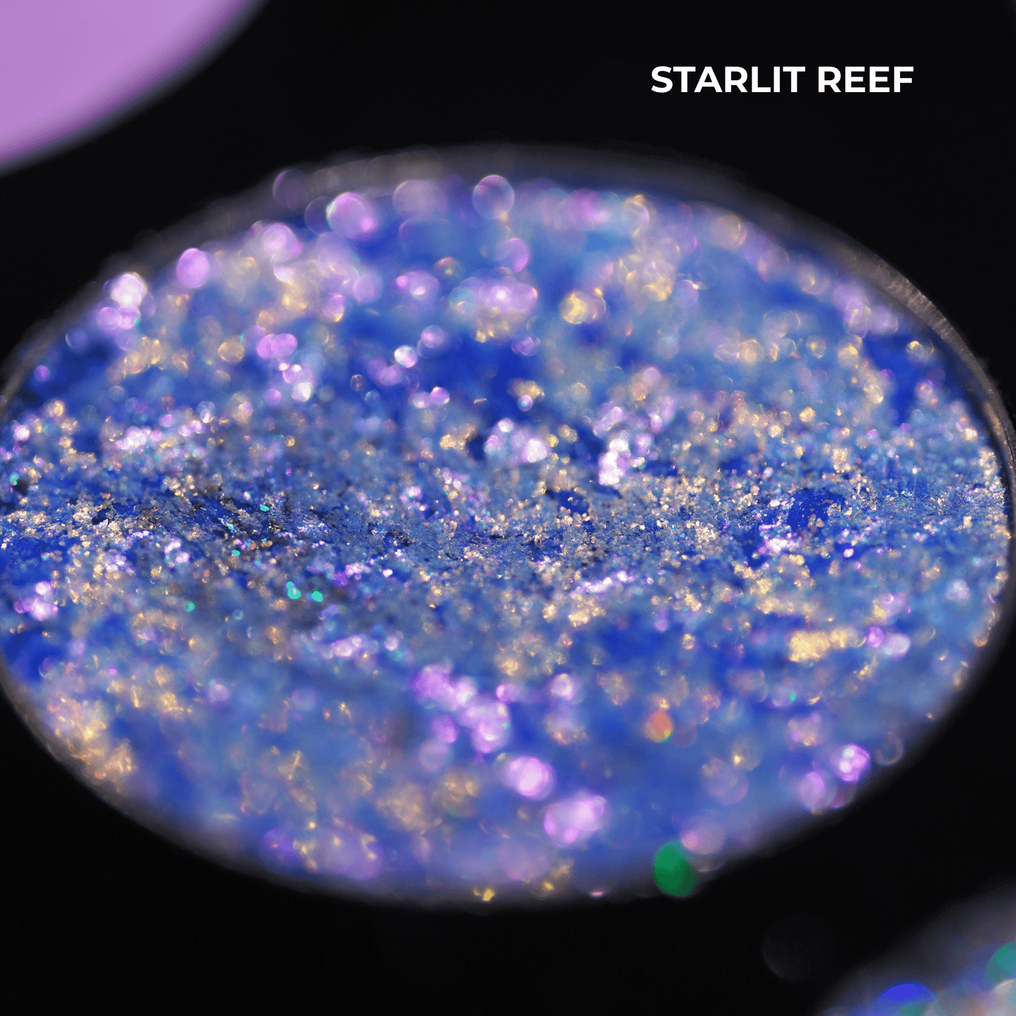 Chapter 3 - Guardian of the Lagoon